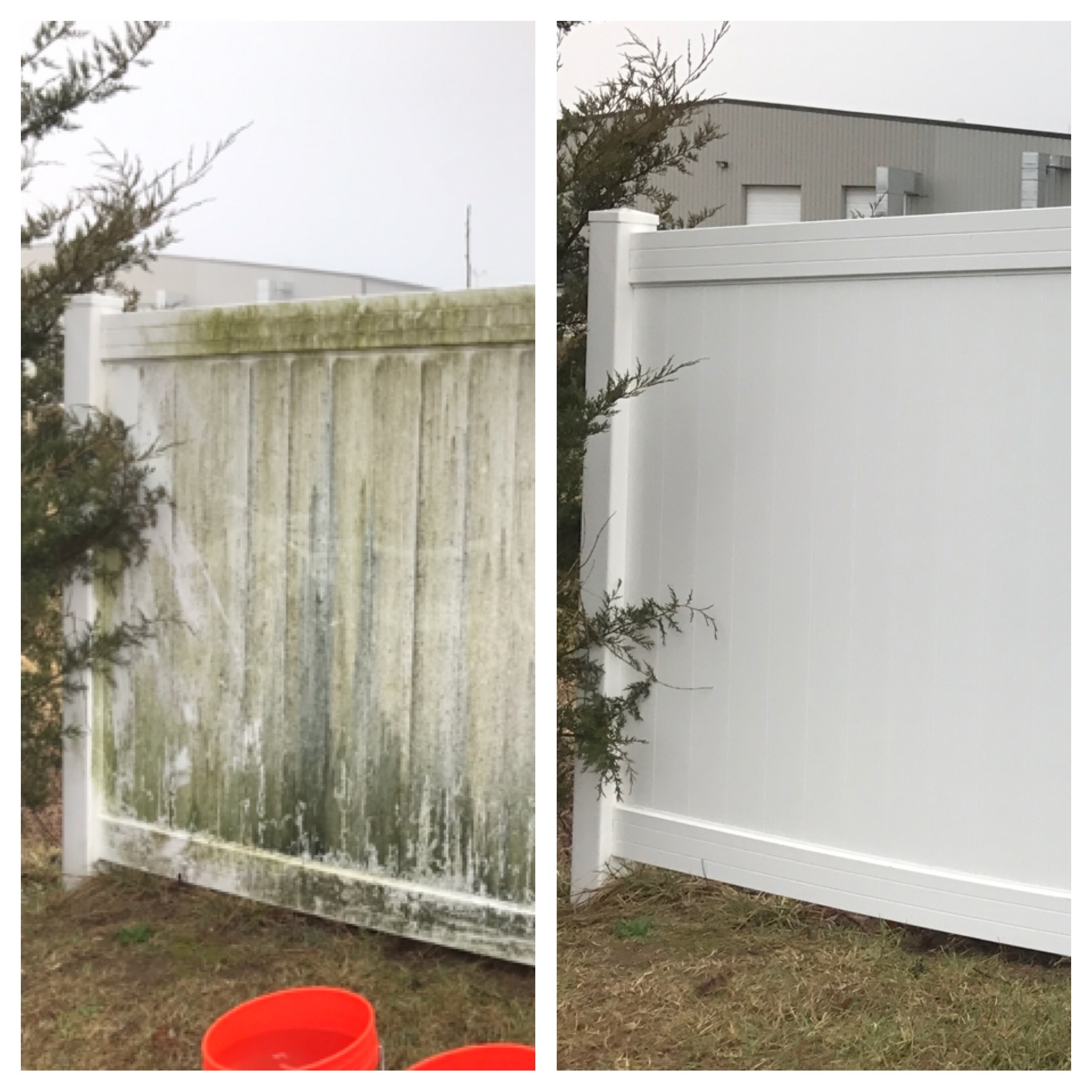 Fence Before and After